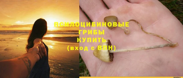 хмурый Богородицк